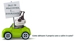 abituare cane salire auto