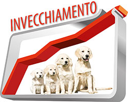 proccesso di invecchiamento