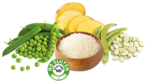immagine no gluten 1