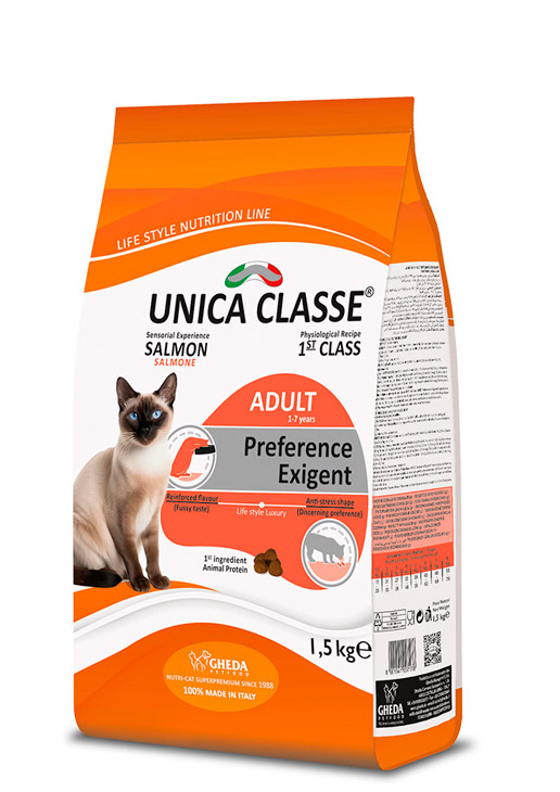 PORTA OCCHIALI ASTUCCIO IN FELTRO DECORO GATTO DONNA ACCESSORI BOR Idea Regalo